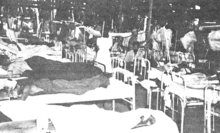 Nurse in Bataan Hospital Ward